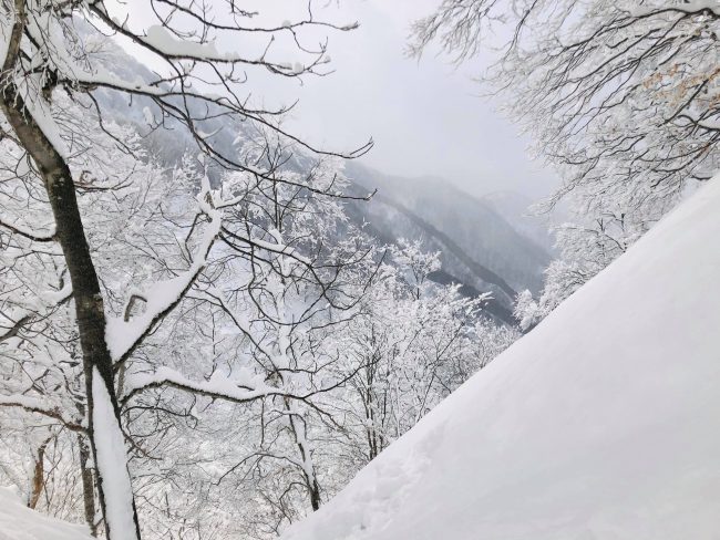 Nozawa Onsen Snow