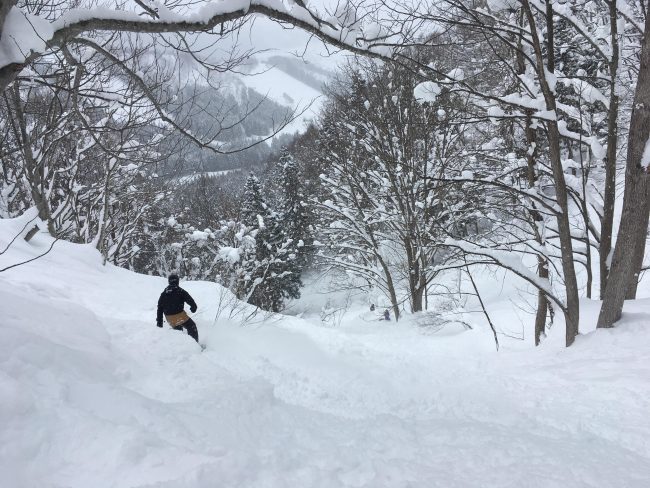 Nozawa Onsen Snow