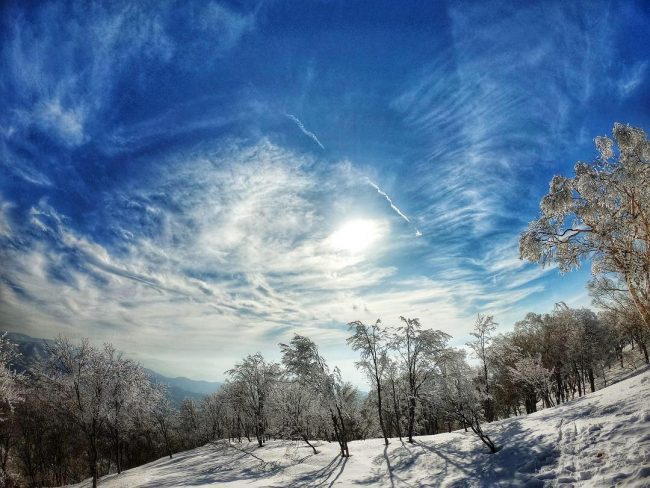 Nozawa Onsen Snow