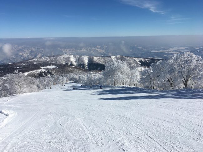 Nozawa Onsen Snow