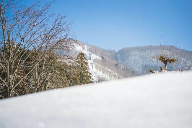 Nozawa Onsen Snow