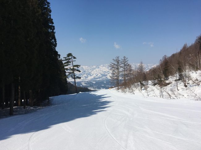 Nozawa Onsen Snow