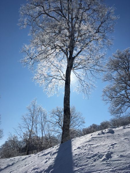 Nozawa Onsen Snow