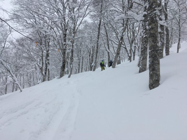 Nozawa Onsen Spring Snow