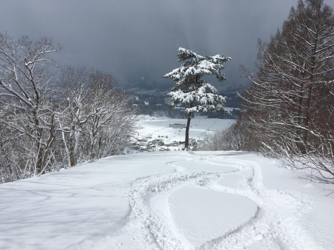 Nozawa Onsen Spring Snow