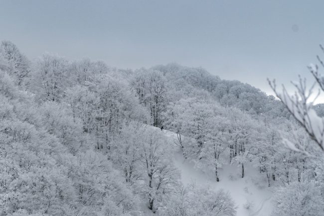 Nozawa Onsen spring snow