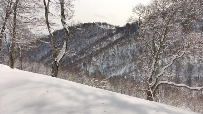 Nozawa Onsen spring snow