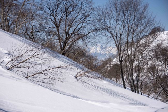 Nozawa Onsen Snow Report 19th March 2019