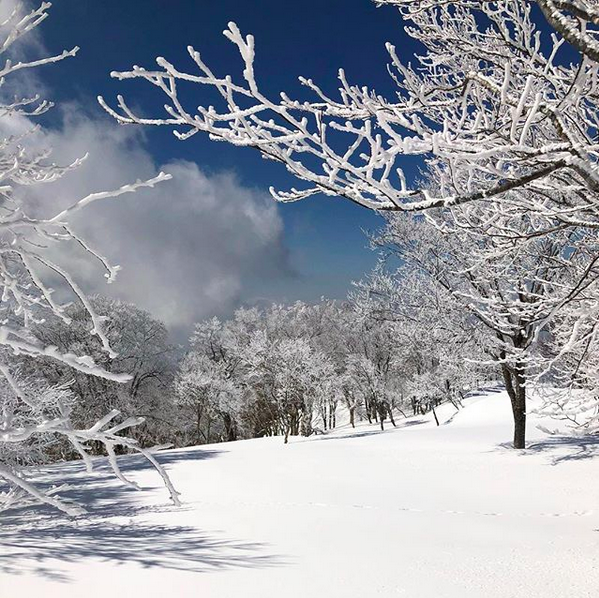 Nozawa Onsen Spring