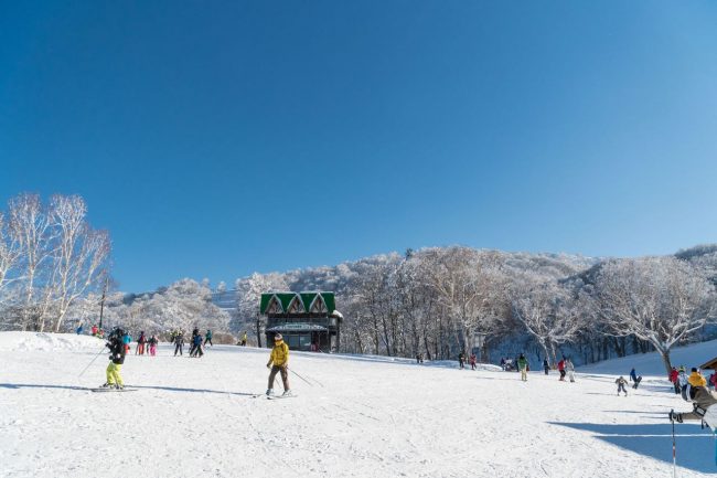 March Magic Spring Skiing Nozawa 