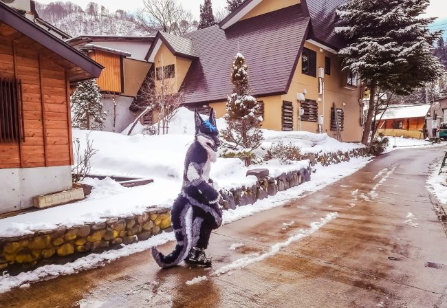 Nozawa Onsen Spring Snow