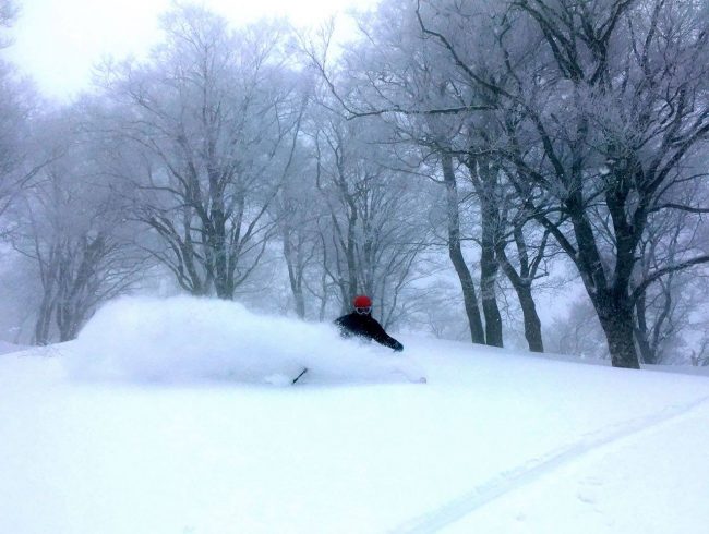 Nozawa Onsen Spring Snow