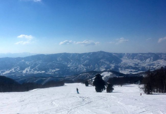 Nozawa Onsen Spring