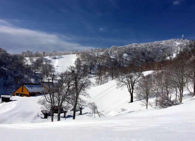 Golden Week May Skiing Japan 