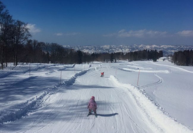 Skiing Japan with Kids