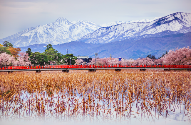 Nozawa Onsen spring