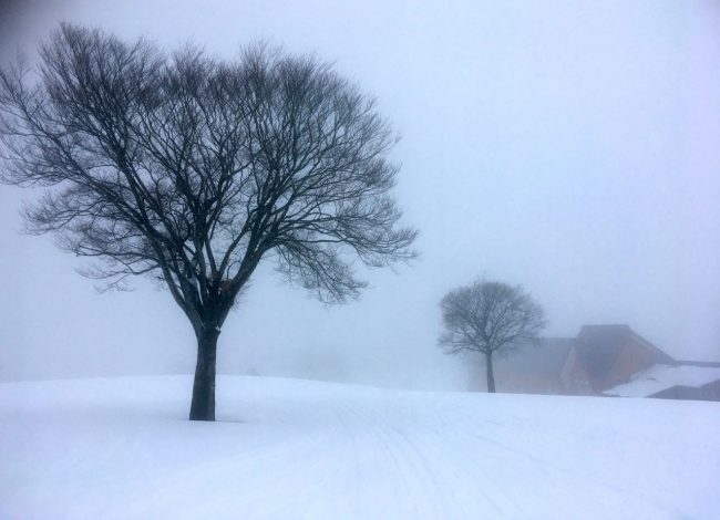 May Snow Nozawa Japan 