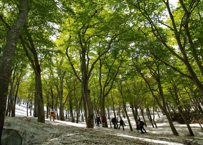 Hike Shin-Etsu Trail