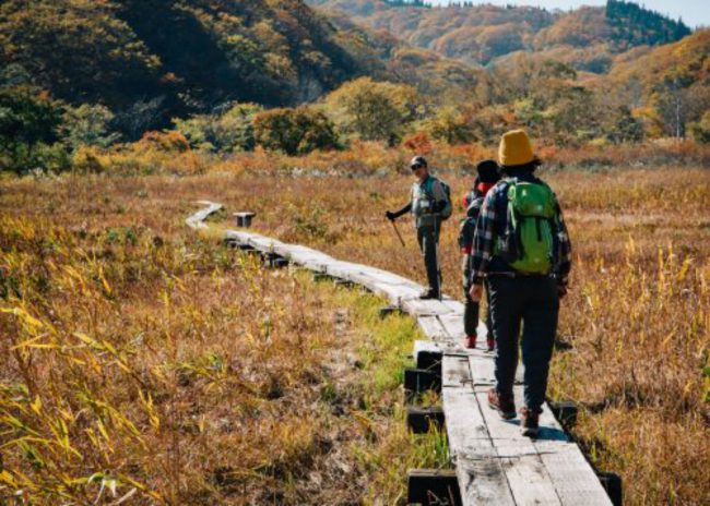 Hike Shin-Etsu Trail