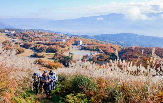 Autumn Hiking Nozawa Japan 