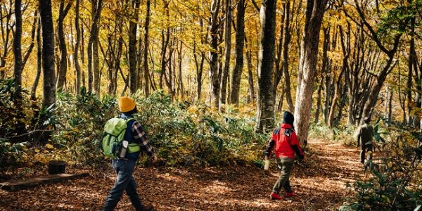 Hike Shinetsu trail Japan