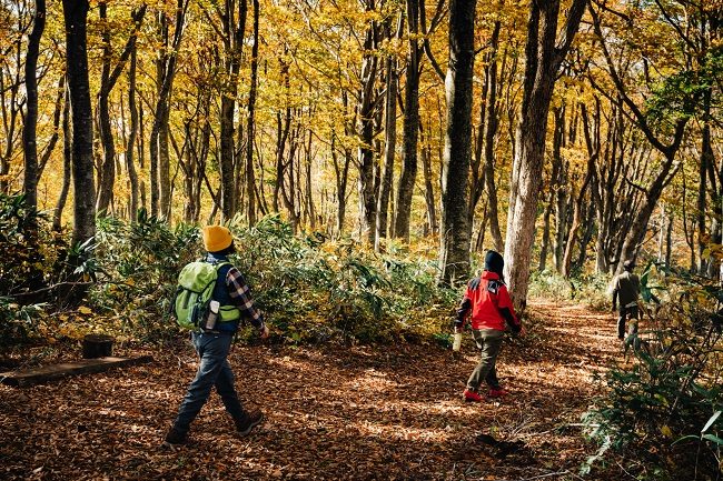 Hike Shinetsu trail Japan