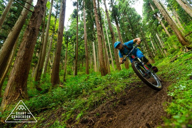 Singe track Mountain Biking Nozawa Onsen