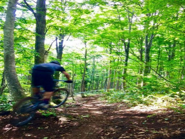 Airborne MTB Forest tracks Nozawa Onsen