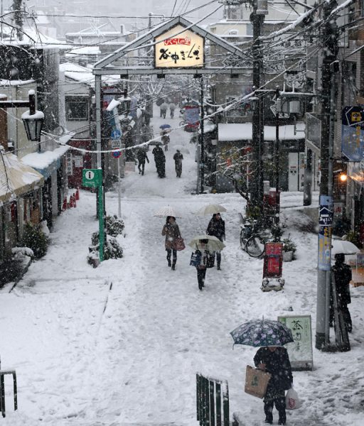 Snow in Tokyo 