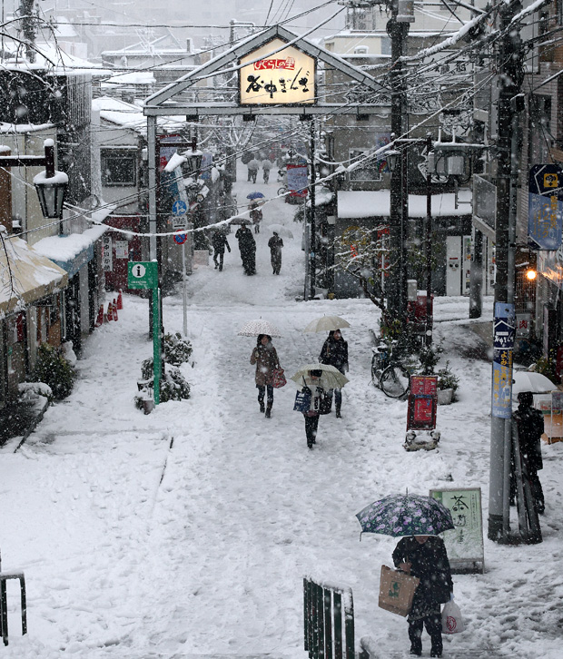 Tokyo hit by heaviest snow since 2014 - The Japan Times