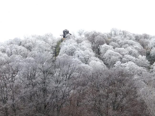 Snovember Nozawa Onsen Japan