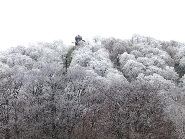 Snovember Nozawa Onsen Japan 