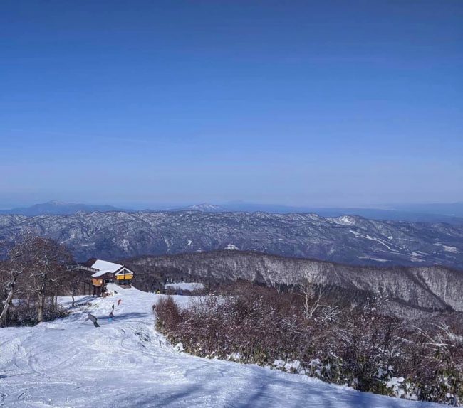 Snow Report Nozawa Onsen 27th December 2019