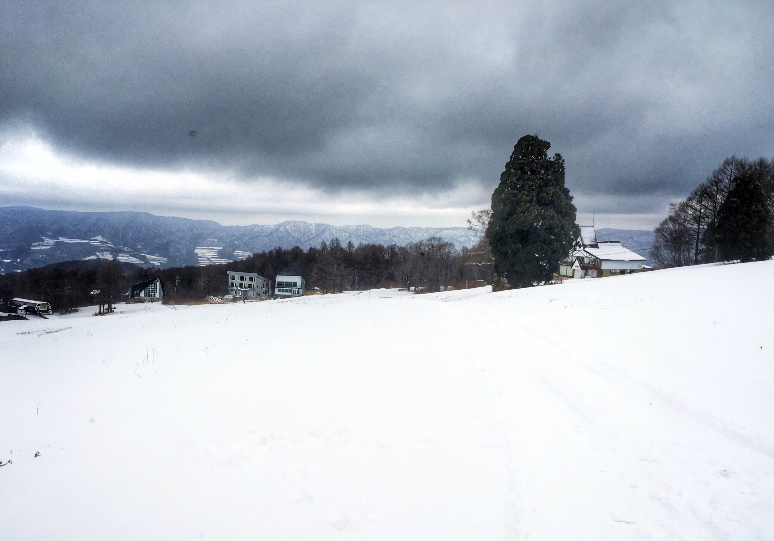 Snow Update Nozawa Onsen 