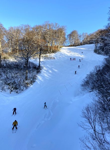 White Christmas Nozawa Onsen 