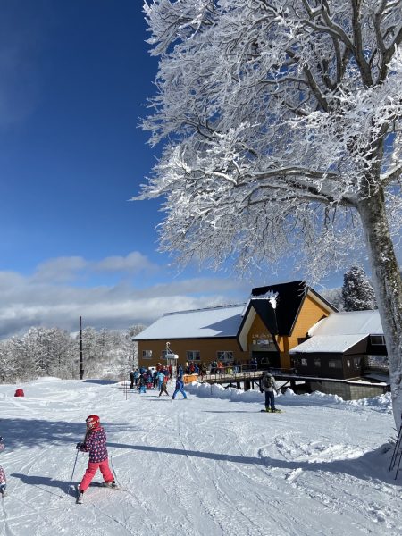 Nozawa Snow Report 10th January 2020