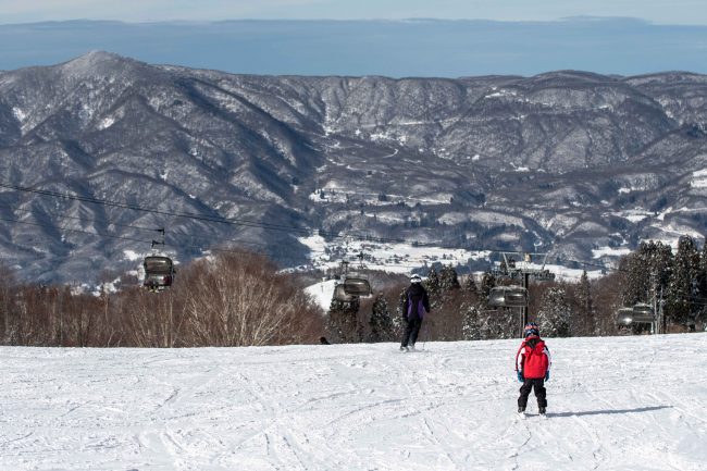 Wide open slopes in the afternoon on Paradise.