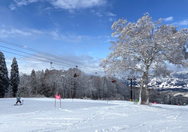 Australia Day Nozawa Onsen