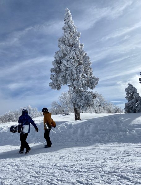 Beautiful January Days Nozawa 