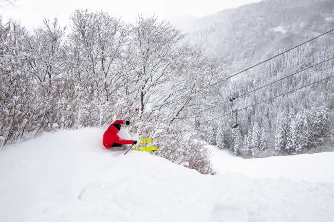 Winter here Nozawa Onsen 