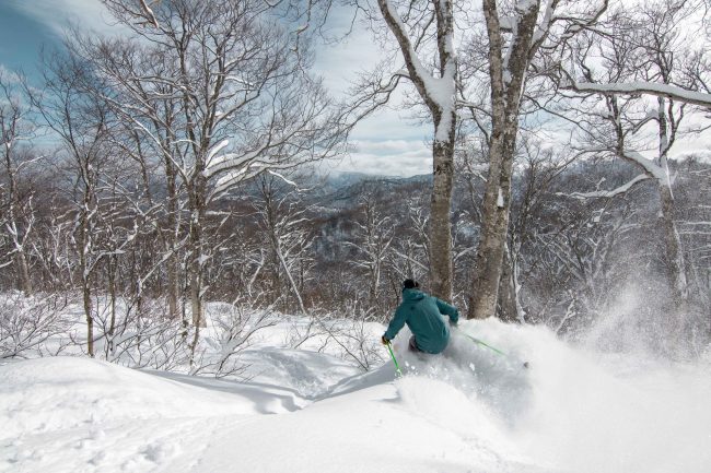 Beautiful January Days Nozawa 