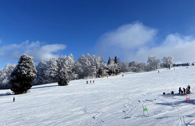 Long Weekend Nozawa Onsen 