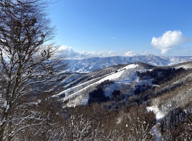 Book Holiday Nozawa Onsen