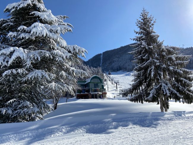 Book Holiday Nozawa Onsen 