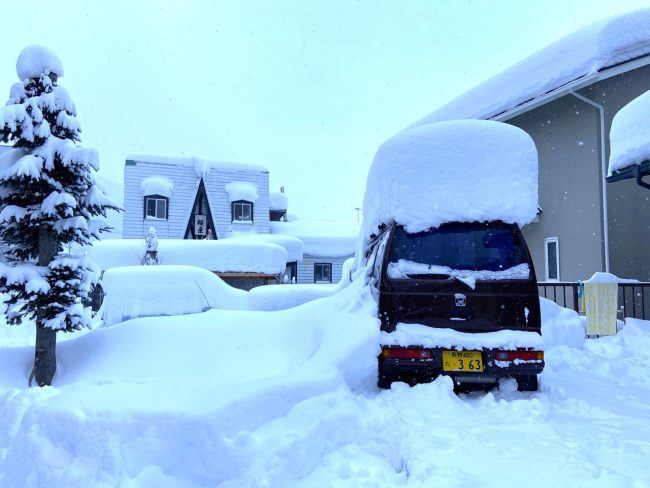 So Much Snow Nozawa 