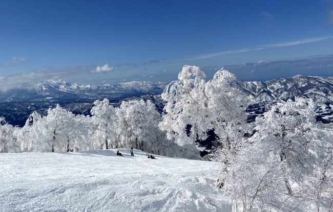 Board Rental Nozawa Onsen