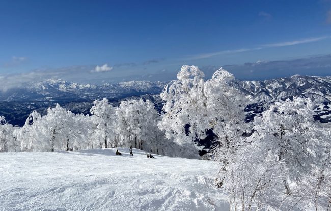 Board Rental Nozawa Onsen 