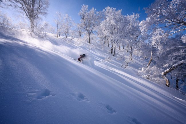 Fresh Tracks Nozawa Onsen Japan