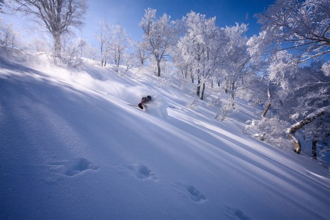 Fresh Tracks Nozawa Onsen Japan 