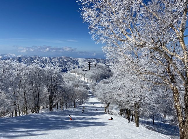 Board Rental Nozawa Onsen